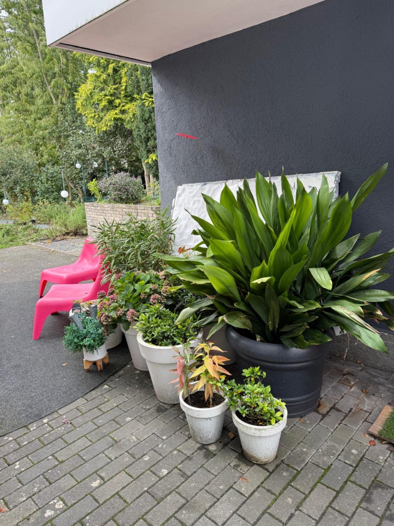 Modernes 1 Zimmerapartment Nahe Frankfurt Am Main Heusenstamm Bagian luar foto